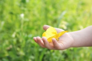 Una manina sorregge una farfalla gialla