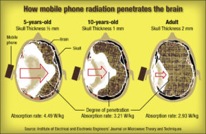 Le radiazioni dei devices su tre cervelli di età diverse