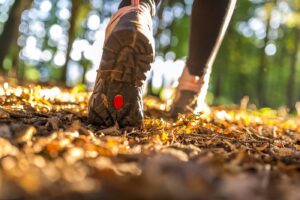 Due scarpe camminano tra il foliage autunnale nel bosco