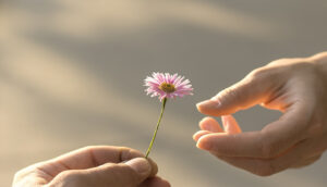 Una mano porge un piccolo fiore rosa ad un'altra mano